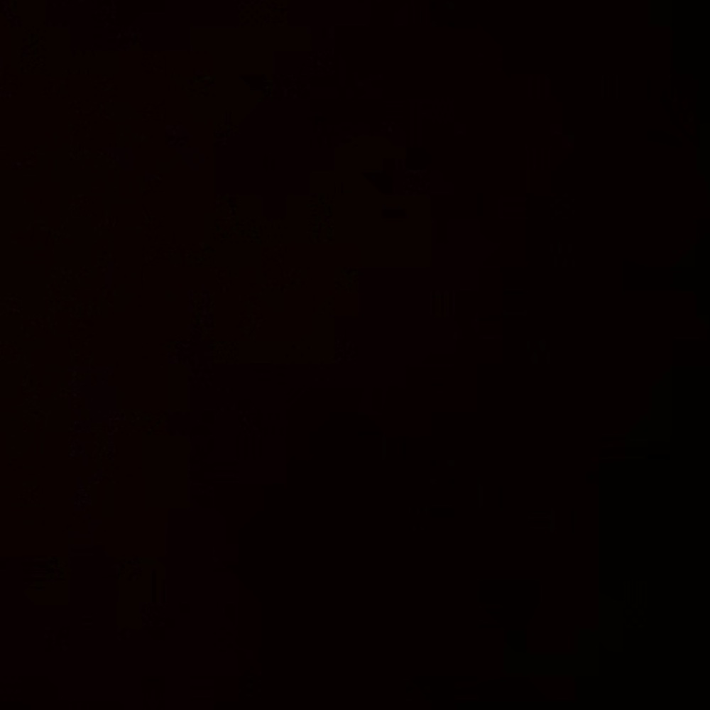 Meet your Posher, Kira